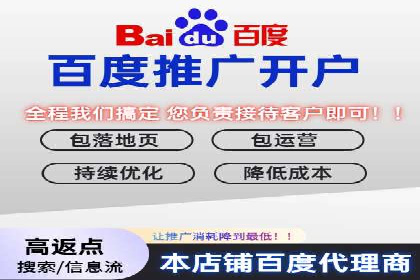 百度推广费用投入与品牌知名度提升的案例分析